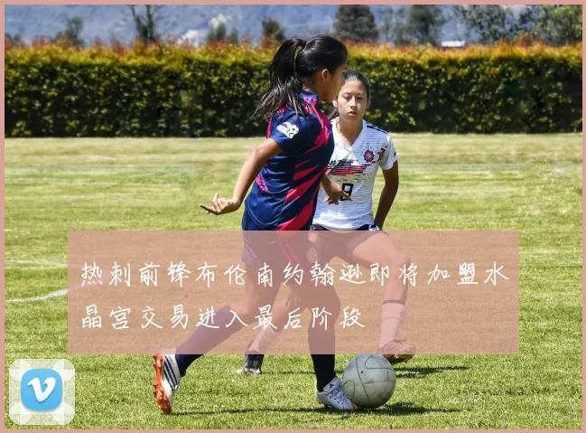 热刺前锋布伦南约翰逊即将加盟水晶宫交易进入最后阶段