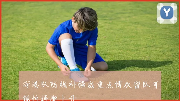 海港队防线补强成重点傅欢留队可能性逐渐上升