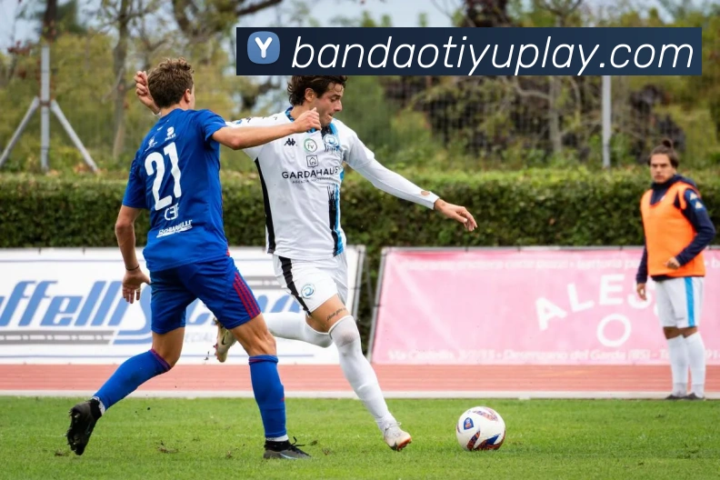 半岛体育品牌故事