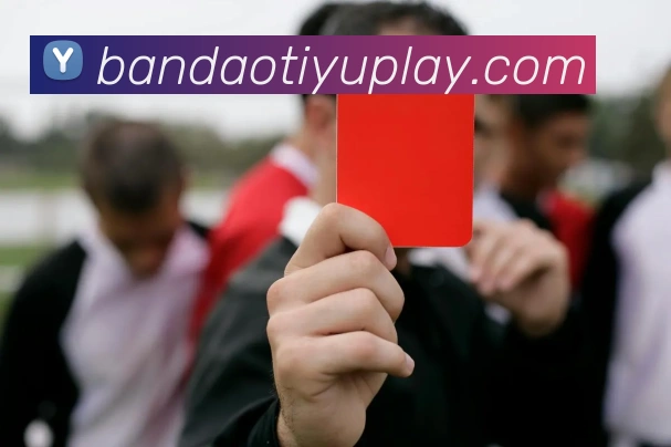 半岛体育服务体系