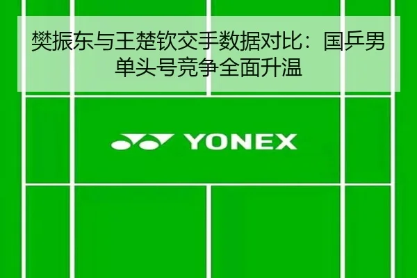 樊振东与王楚钦交手数据对比：国乒男单头号竞争全面升温 | bandao